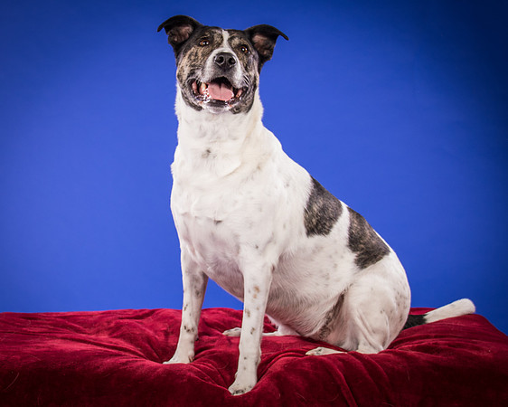Bruns-Melo and Gracie-3034