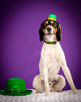 Foster Goofy-0956