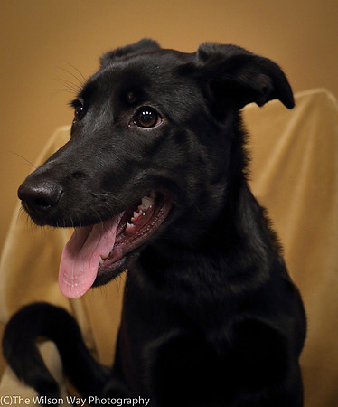 Foster Nadirah-0557