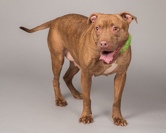 Foster Coco-2088