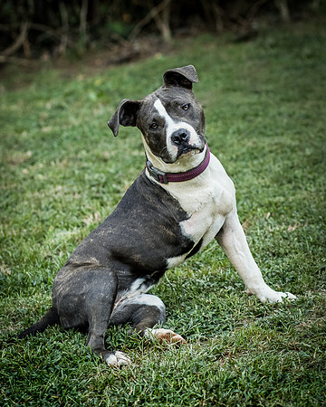 Foster Maya-0215