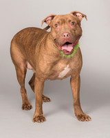 Foster Coco-2079