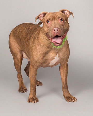 Foster Coco-2079