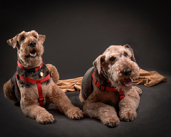 Martha May & Smitty-7735