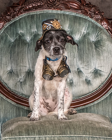 Foster Billie-8157