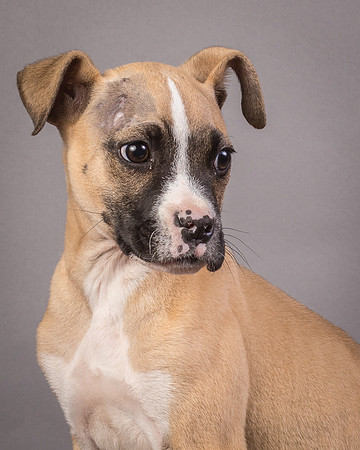 Foster Barnabas-4493