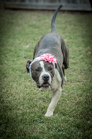 Foster Maya-0353