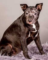 Foster Kendal-8758