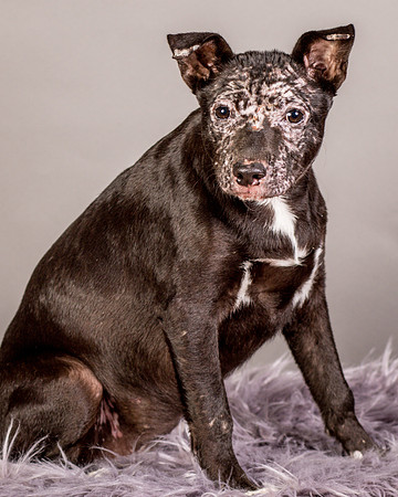 Foster Kendal-8758