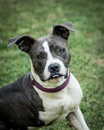 Foster Maya-0225