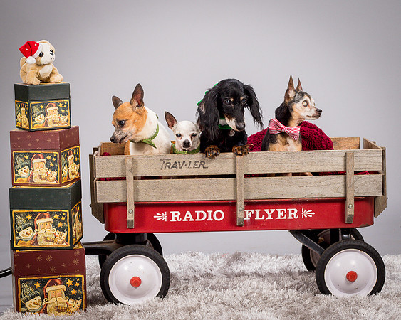 Foster Hospice Gang-3911