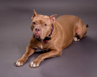 Maggie Griner-7498