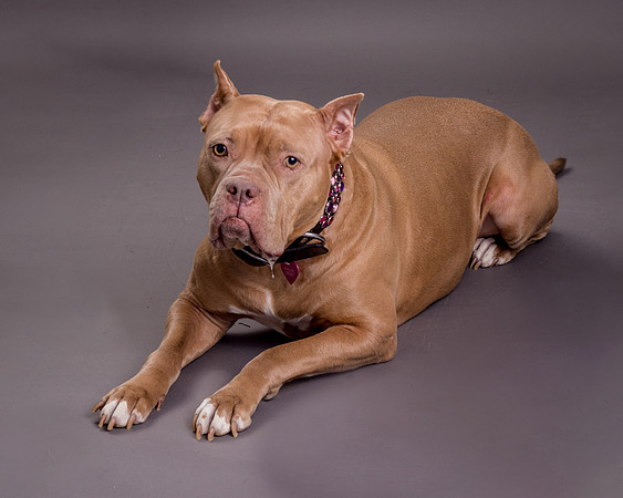 Maggie Griner-7498