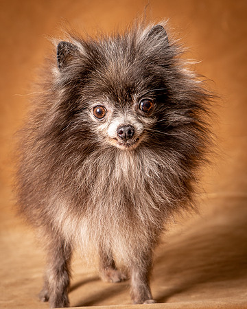 Foster Loretta-1272