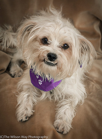 Foster Ricky-9022