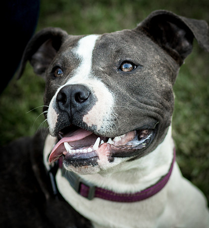 Foster Maya-0255