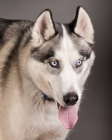 Foster Aspen-7634