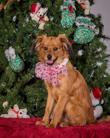 Foster Elyse-3825