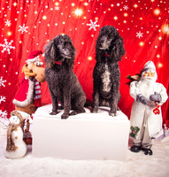 Cole-1868