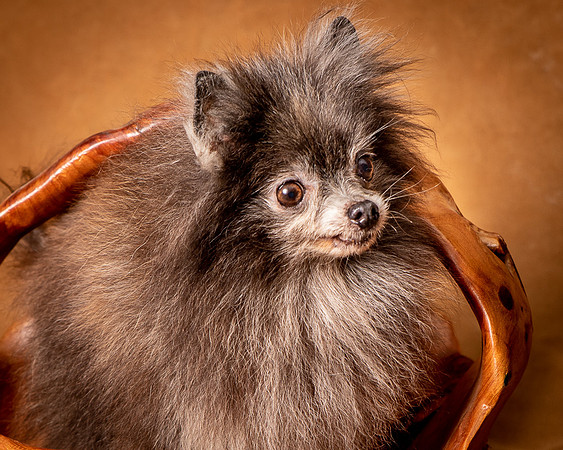 Foster Loretta-1325