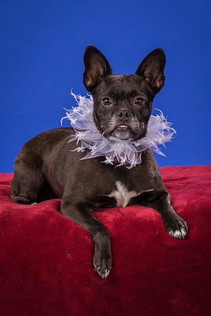 Slattery-Bella-0008