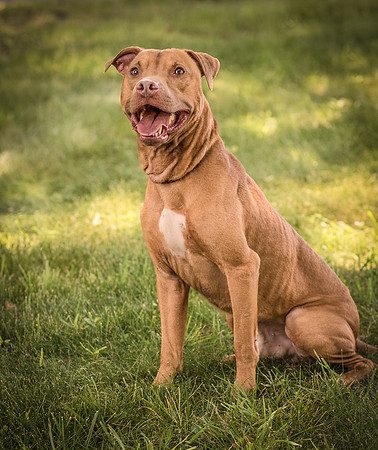 Foster Pablo-7957