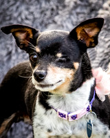 Foster Leela-7995
