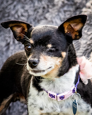 Foster Leela-7995
