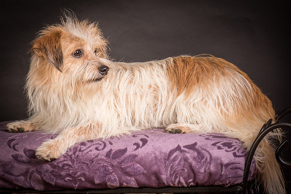 Foster Tiny-1424