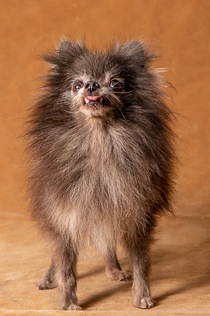 Foster Loretta-1305