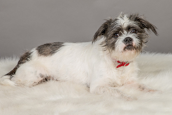 Foster Leeza-2557