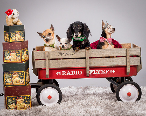 Foster Hospice Gang-3935