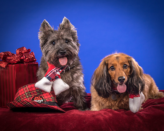Sauls-Brodie and Baxter-5546
