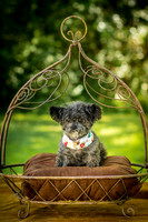 Foster Vivienne-7251