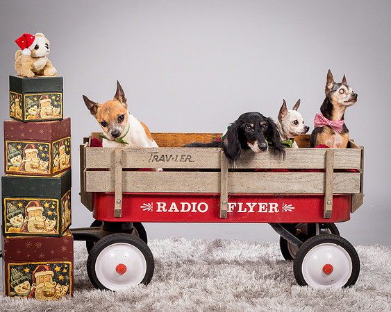 Foster Hospice Gang-3881