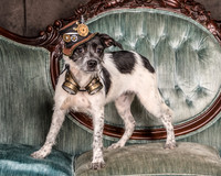 Foster Billie-8127