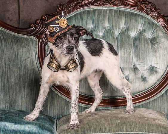 Foster Billie-8127