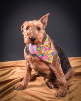 Katie-5306