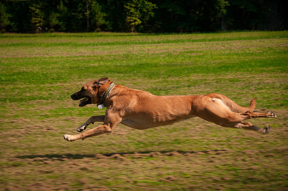 Roxy Running-9870