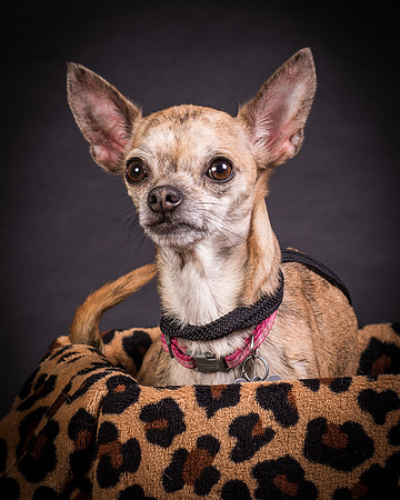 Foster Selina-1156