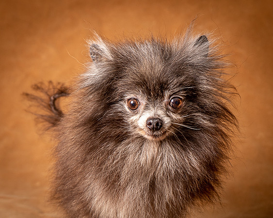 Foster Loretta-1280