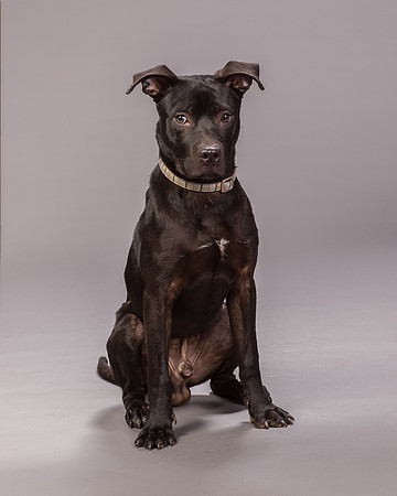 Foster Adam-7014