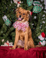 Foster Elyse-3837