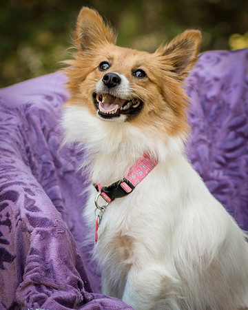 Foster Brandi-3261