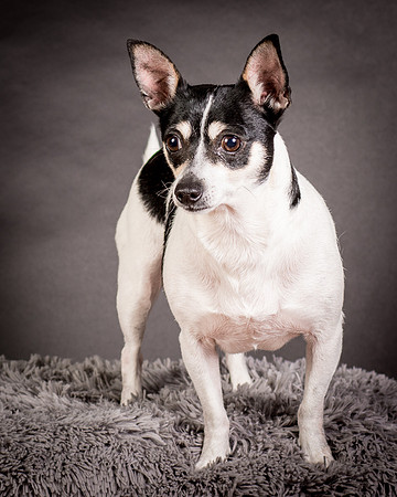 Foster Richa-0465