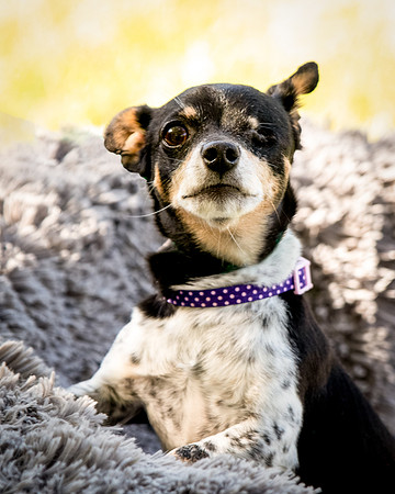 Foster Leela-7938