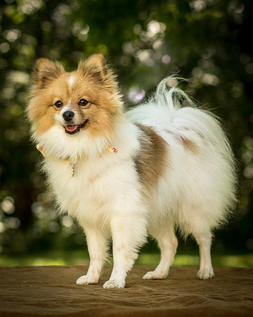 Foster Sydney-7568
