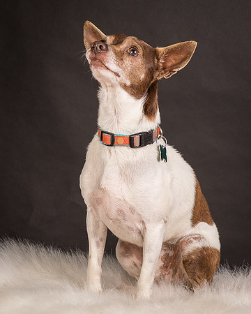 Foster Gus-0315