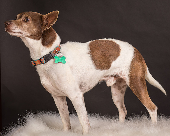 Foster Gus-0320