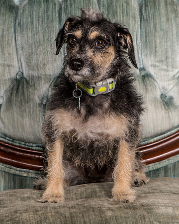 Foster Triscuit-5474